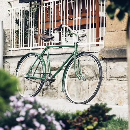 Guest house Javorka
